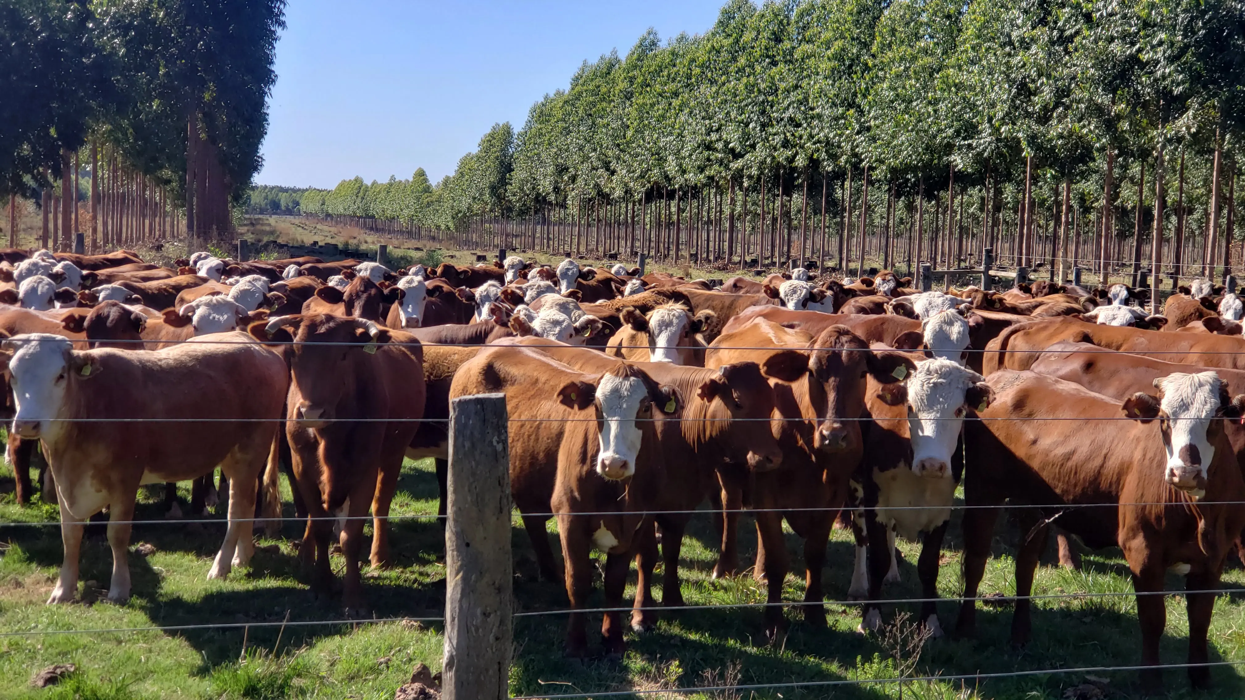 Tecnología en el campo