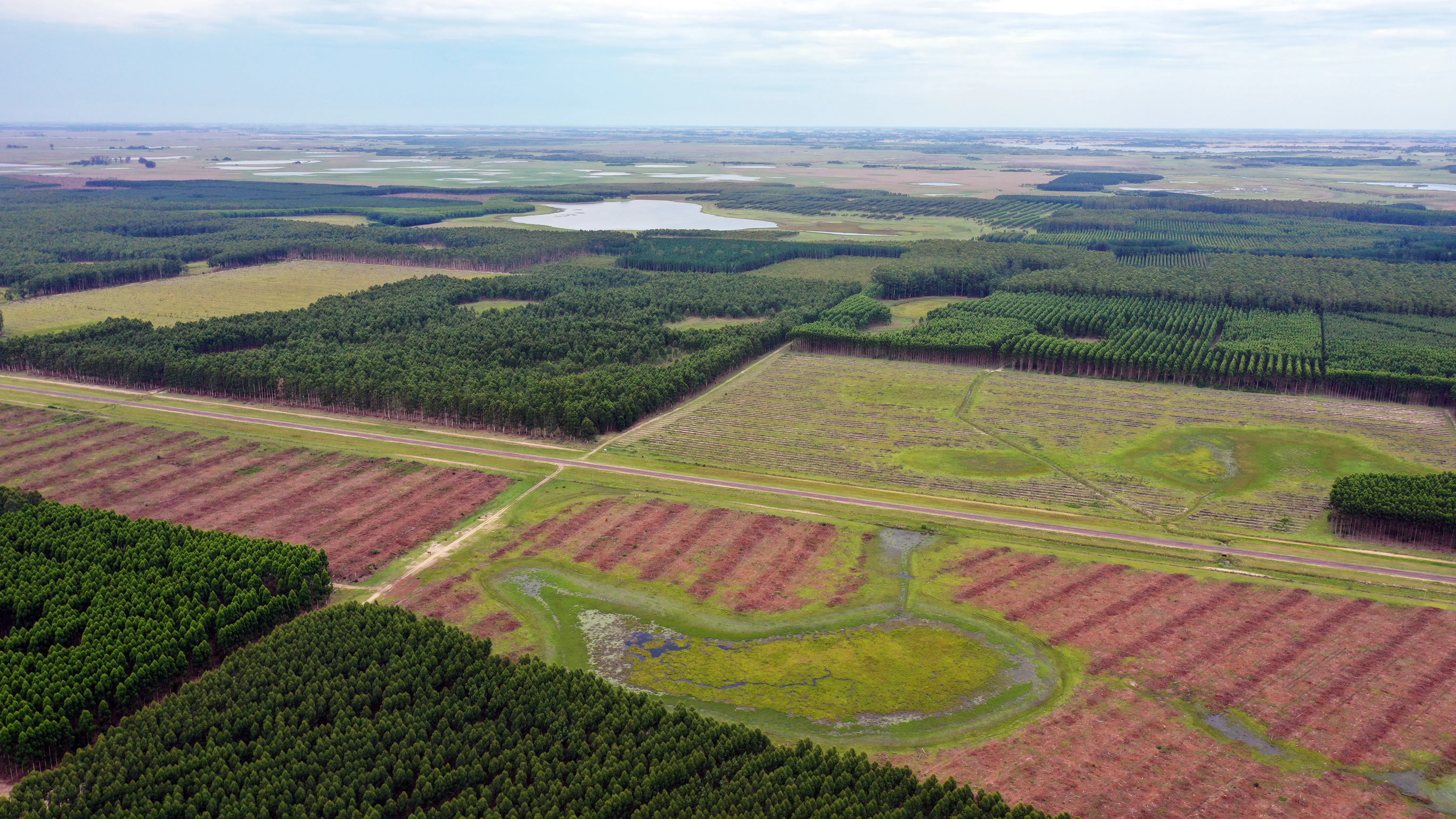 Innovación en la agricultura